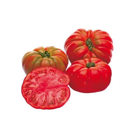 marmande.jpg